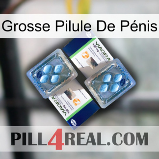 Grosse Pilule De Pénis viagra5
